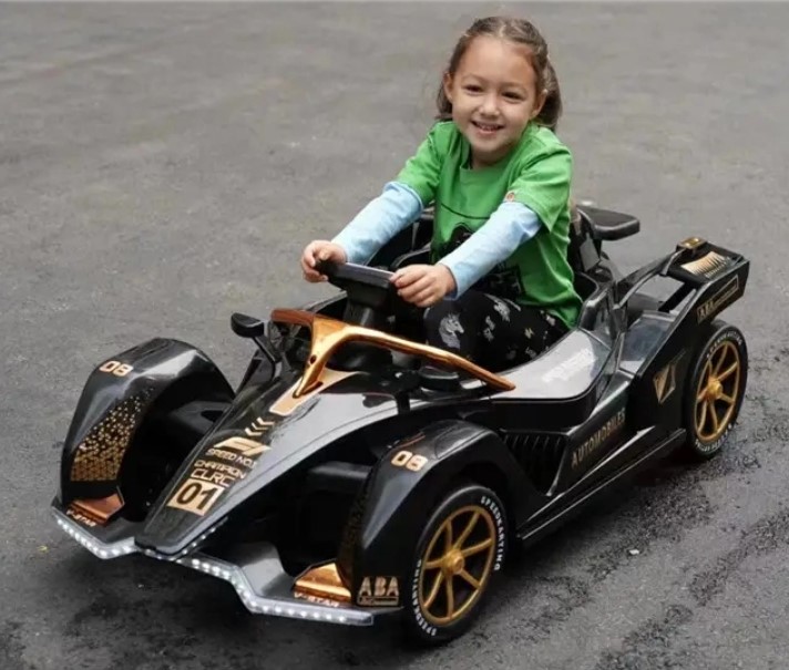 Electric Go Karts ride on car